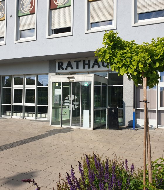 Bild zum Artikel